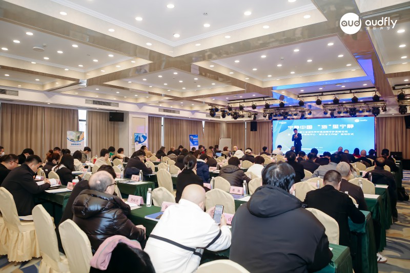 清聽聲學(xué)2024城市聲環(huán)境戰(zhàn)略高峰論壇